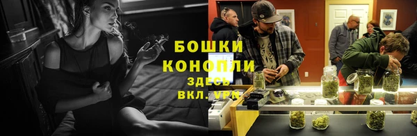 прущие грибы Алексеевка