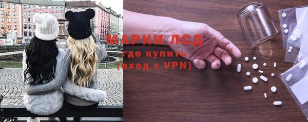 прущие грибы Алексеевка