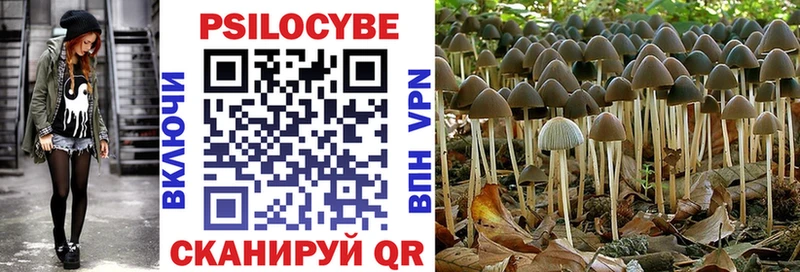 Псилоцибиновые грибы Magic Shrooms  дарнет шоп  Печоры 